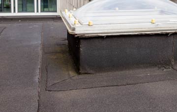 disadvantages of Quina Brook flat roofs