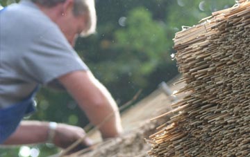 professional Quina Brook thatchers